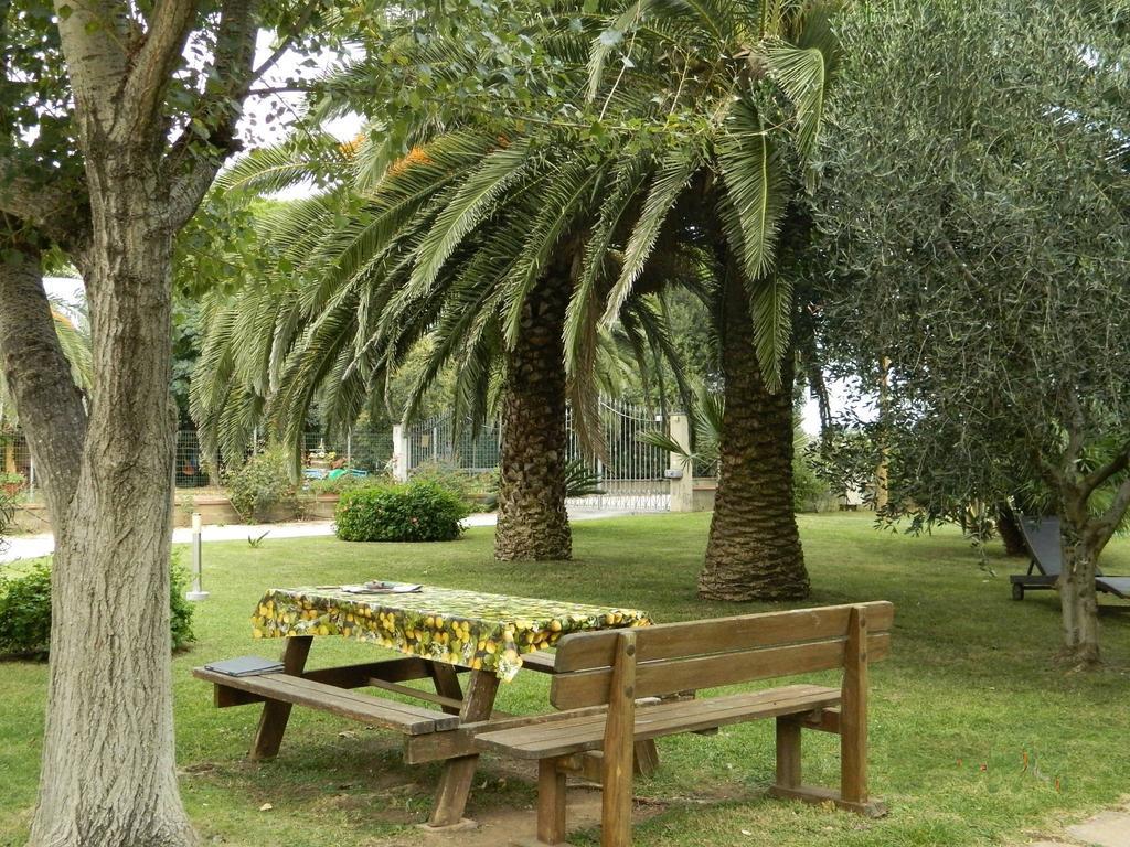 Podere Santo Signoretto Σαν Βιντσέντσο Εξωτερικό φωτογραφία