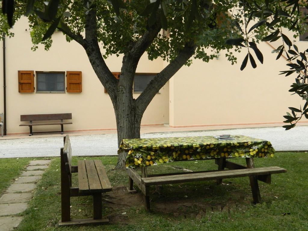 Podere Santo Signoretto Σαν Βιντσέντσο Εξωτερικό φωτογραφία